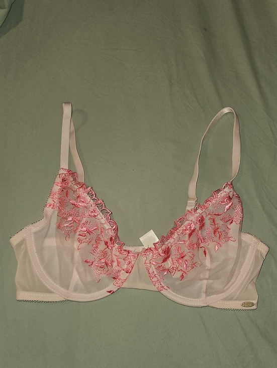 Jessica Simpson Other - Jessica Simpson Sheer Lace Underwire Bra - Pink Embroidery